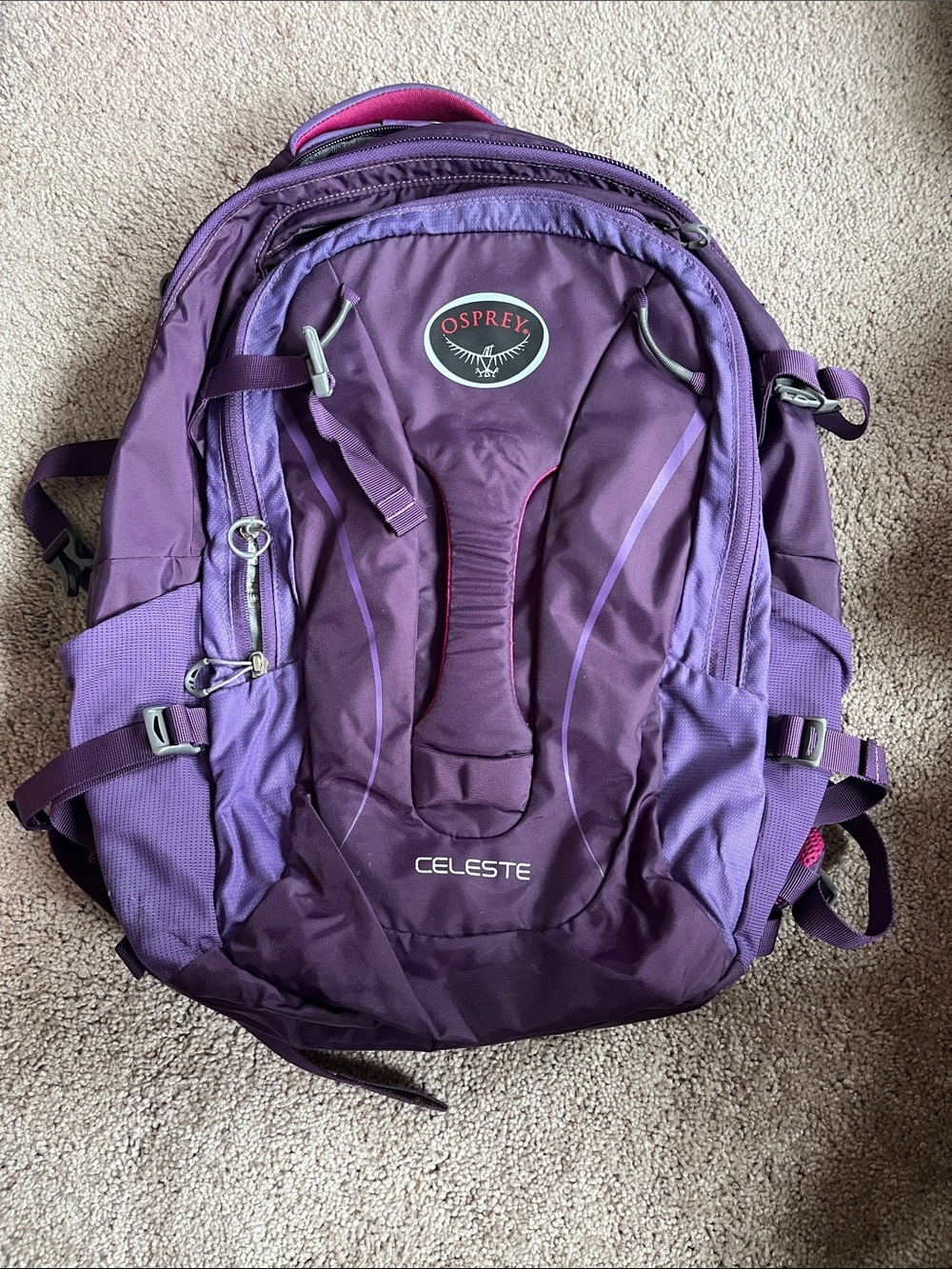 OSPREY Celeste Plum Purple Daypack